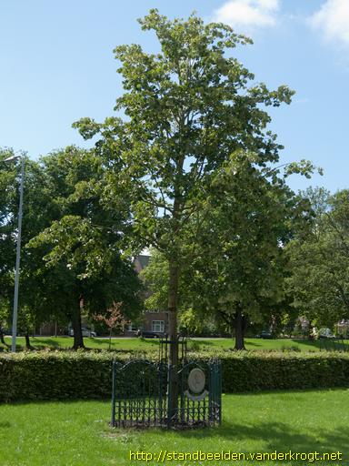 Urk -  Koningin Beatrixboom