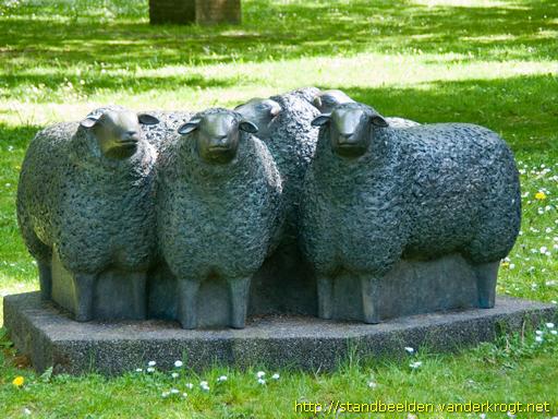 Kootwijk -  De vijf schapen