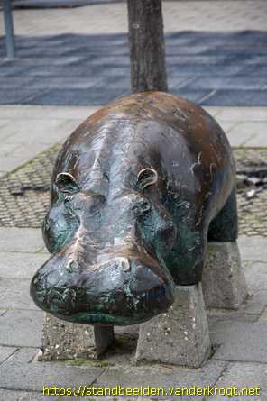 Aalsmeer -  Nijlpaard